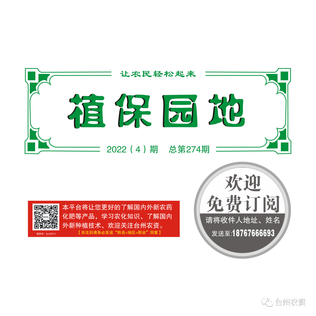 氣溫驟降，大棚西瓜做好以下幾點工作